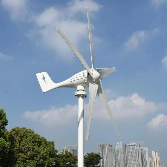 Riafu Premium Wind Turbine Generator Small Home Windmill Generator