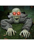 Halloween Groundbreaker Zombie with Sound and Flashing Red Eyes