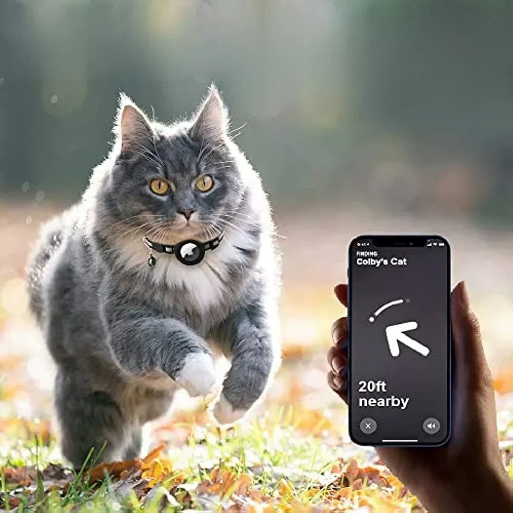 Cat Collar with Safety Clip – Adjustable and Comfortable