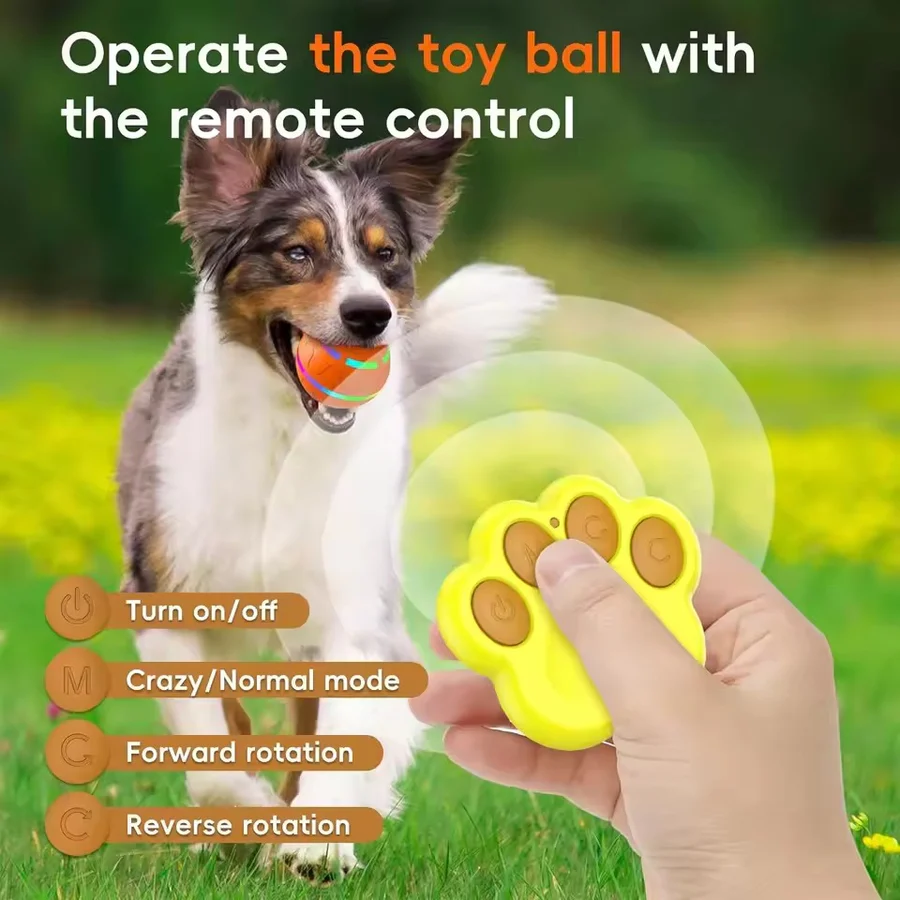 Riafu Dog and Cat Interactive Ball Toy – Self-Rolling Pet Toy for Indoor Fun