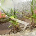Multifunctional Weed Puller Tool for Brick Joints