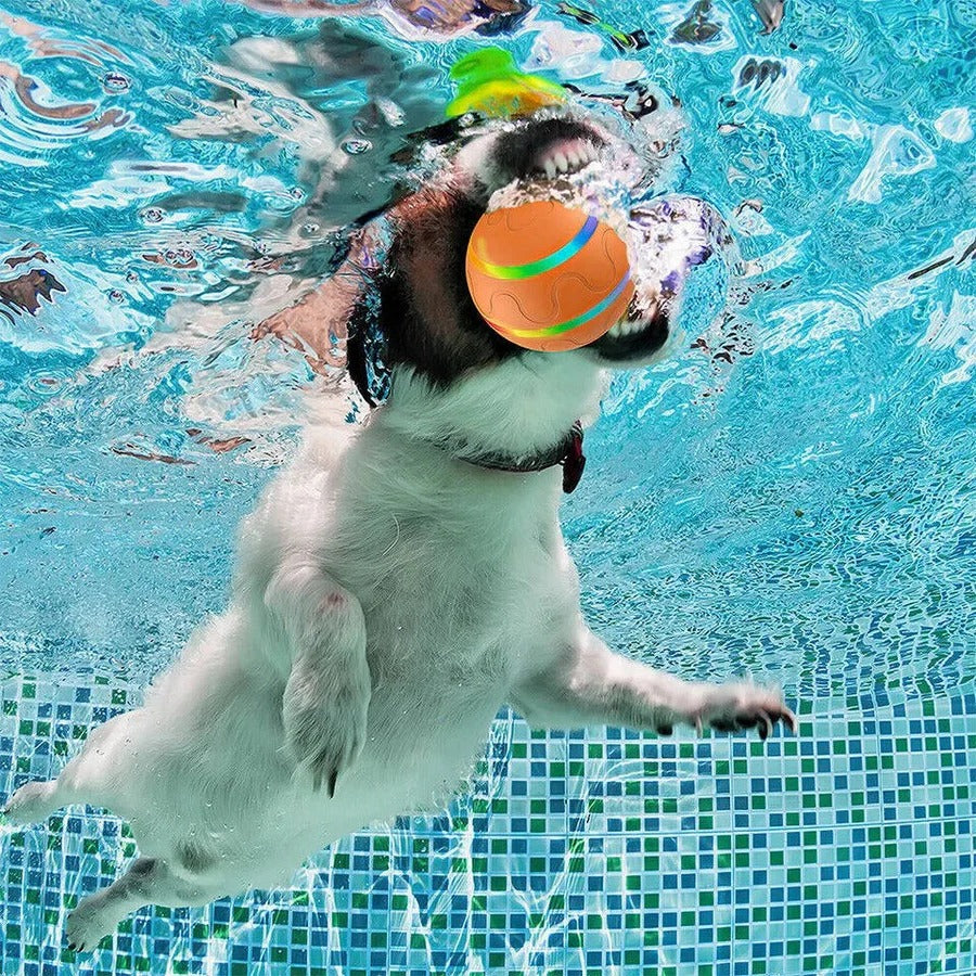 Riafu Dog and Cat Interactive Ball Toy – Self-Rolling Pet Toy for Indoor Fun