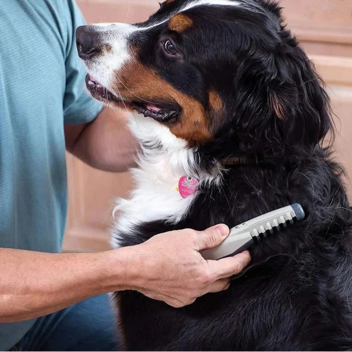 Riafu Anti Tangle Pet Grooming Rake For Dogs With Long Hair