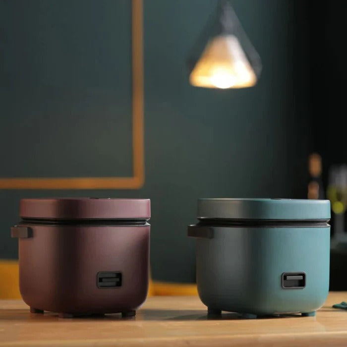 Mini Rice Cooker with Keep Warm Function