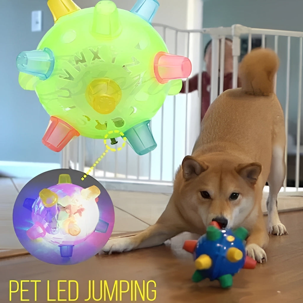 Rechargeable Dog Ball Toy with Jumping and Bouncing Action