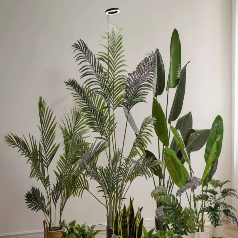 Adjustable Indoor Plant Grow Light with Timer and Height Settings