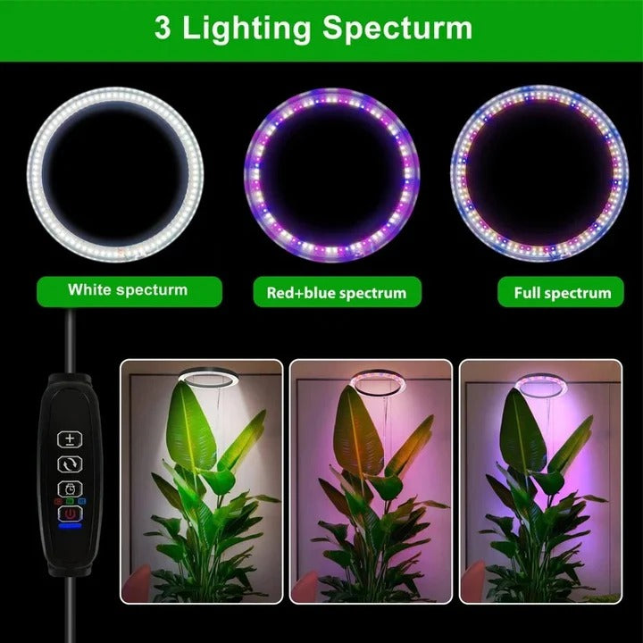Adjustable Indoor Plant Grow Light with Timer and Height Settings