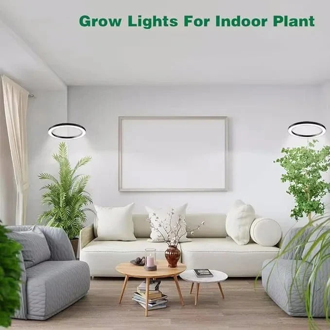 Adjustable Indoor Plant Grow Light with Timer and Height Settings