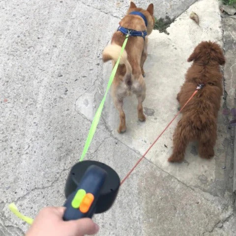 Riafu Dual Dog Leash with LED Light – 360° Tangle-Free Swivel & Shock Absorbing Bungee