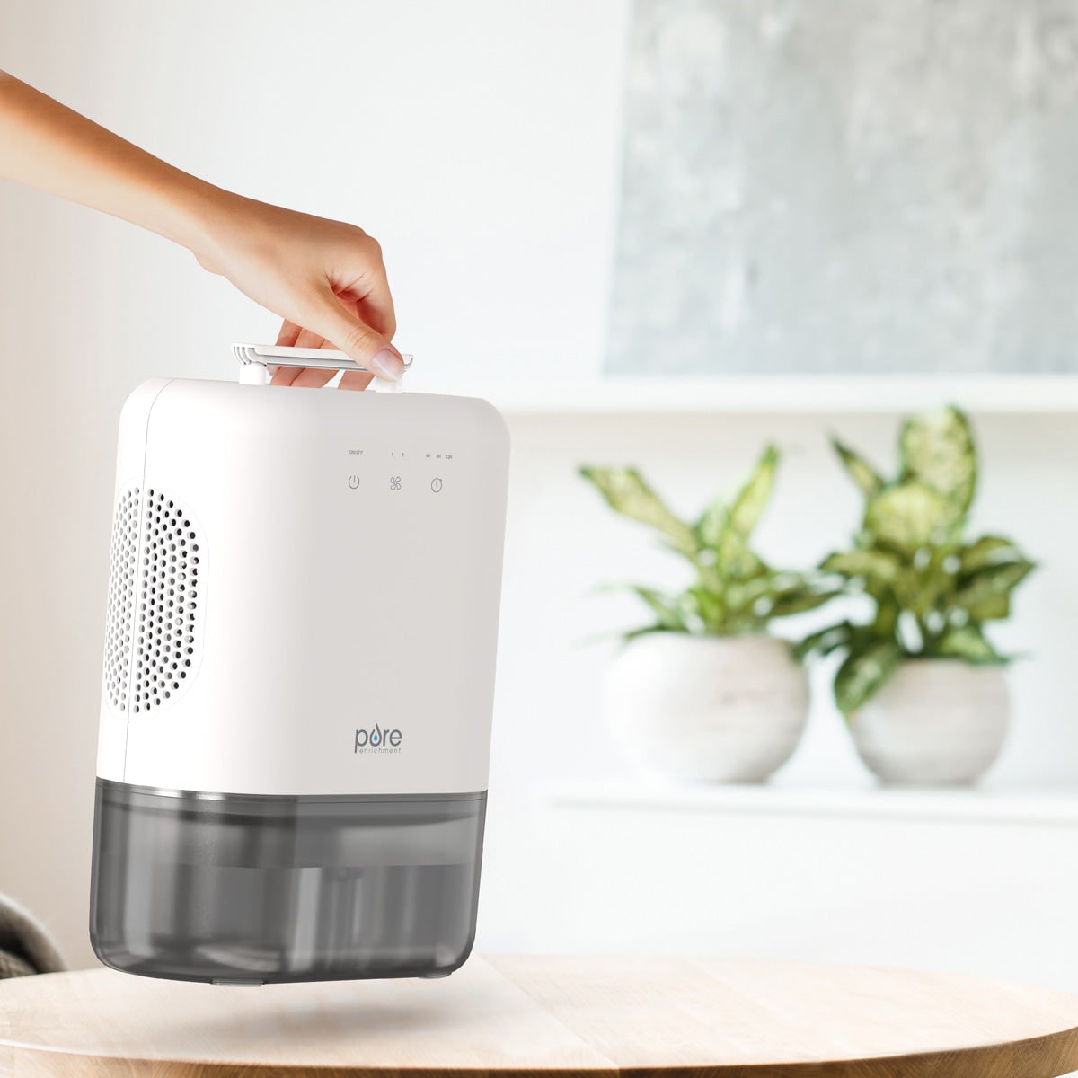Portable Mini Air Dehumidifier with Water Tank for Home Moisture Removal