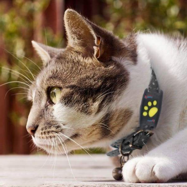 Riafu 🐾 Dog GPS Tracker Locator Device – Real-Time Pet Tracking with No Monthly Fees