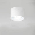 LED Ceiling Spotlight Cylinder, Adjustable Modern Indoor Light