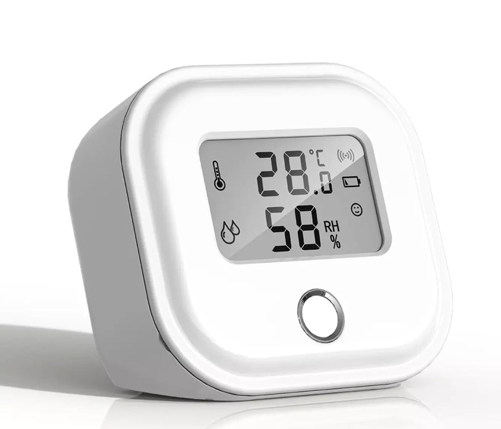 Riafu Smart Wifi Temperature and Humidity Monitor