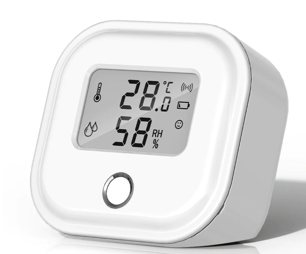 Riafu Smart Wifi Temperature and Humidity Monitor